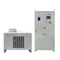Electrophoretic Rectifier